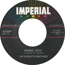THE BURNETTE BROTHERS